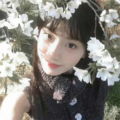 完美姐妹